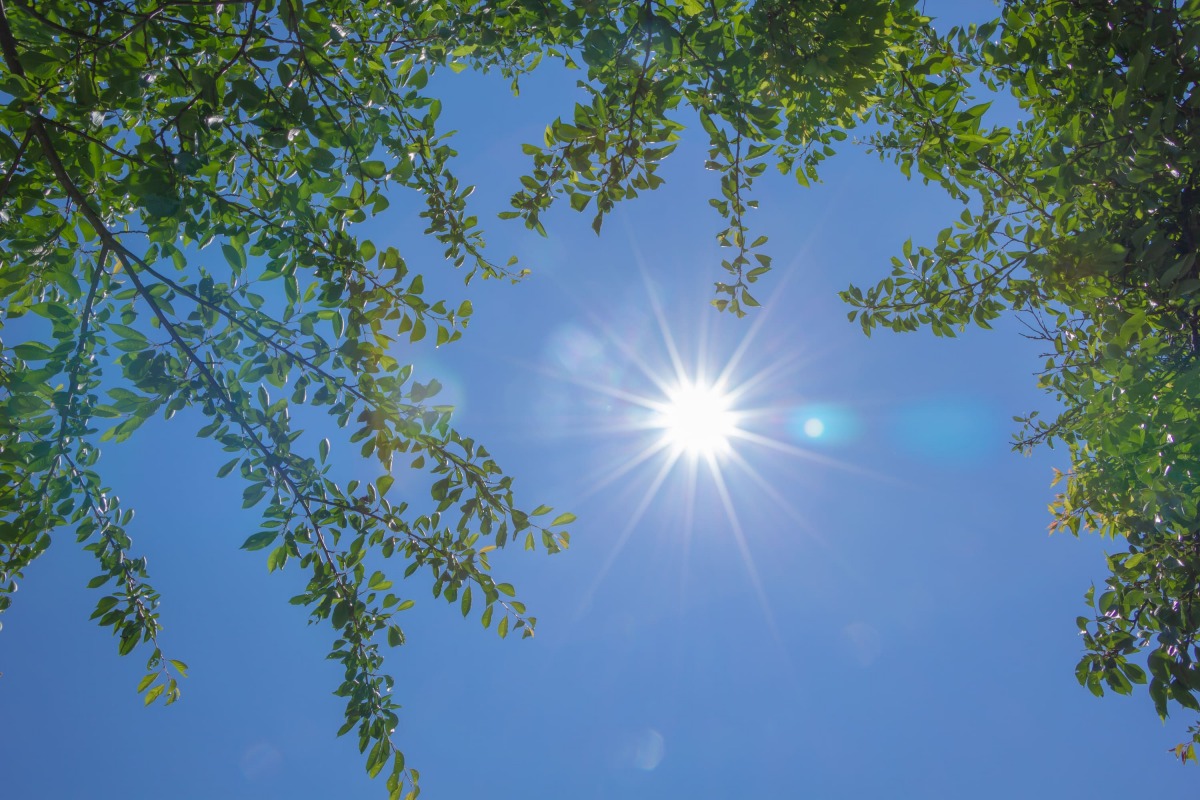 「【2025最新版】トレイルランナー必見！ソフトフラスクの選び方とお手入れ」の画像