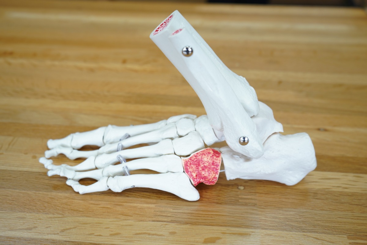 「江戸から京都を走る飛脚が履いていた『足半』とは?『アシトレプロジェクト』第一弾「足本来の機能を取り戻そう!」」の画像