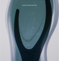 「アークテリクスの新たなトレランシューズ『SYLAN 2（シラン 2）』が3月26日に発売」の画像