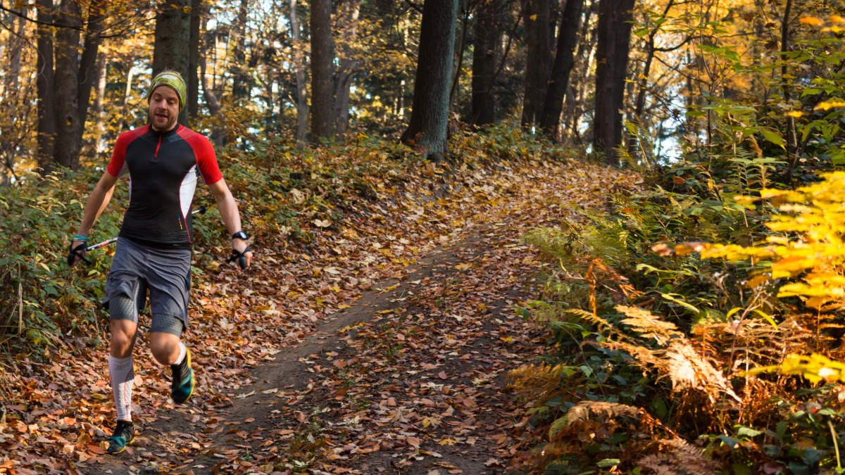 「トレランポールの選び方とは？今シーズン注目モデル5選＆登山用ポールとの違い解説」の画像