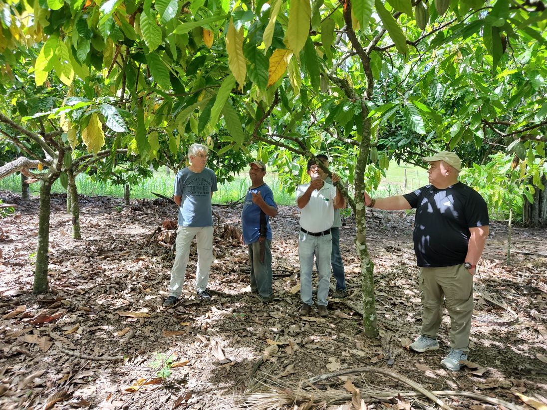 「5km走ると1本の植樹につながる？アシックス『Run for Reforestation Challenge 2026』実施へ」の画像
