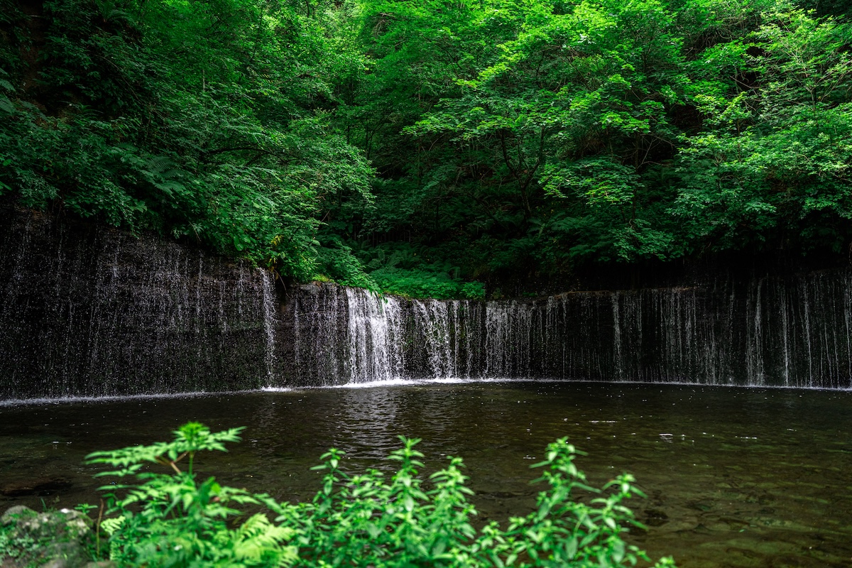 「新緑深まる軽井沢で、はじめてのトレイルへ。1泊2日の合宿「FIRST TRAIL TRIP」をレポート」の画像